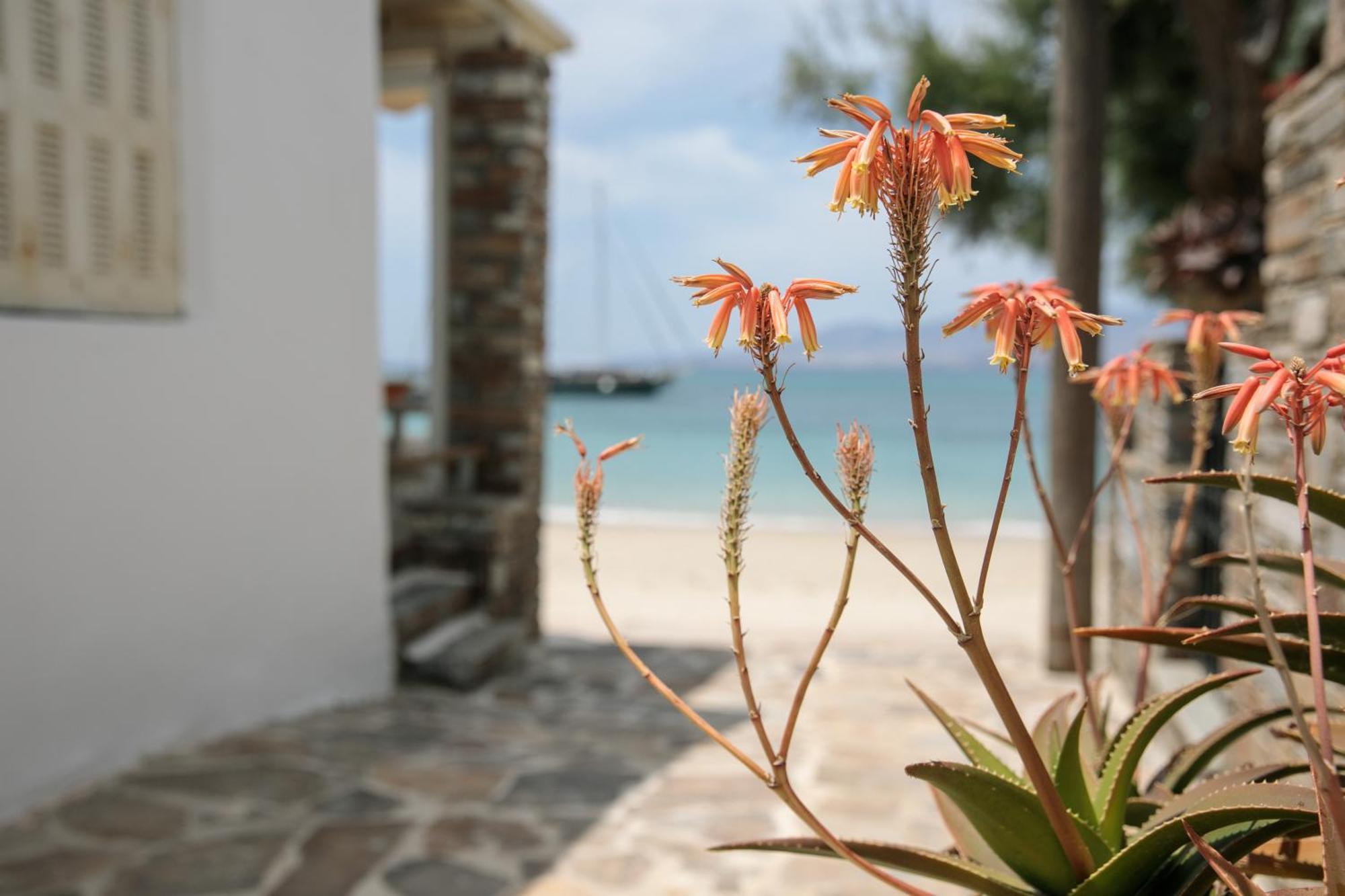 Iria Beach Art Hotel Agia Anna  Exterior photo
